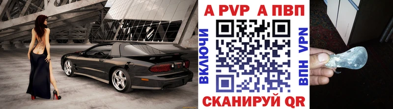 A-PVP СК  Курчалой 