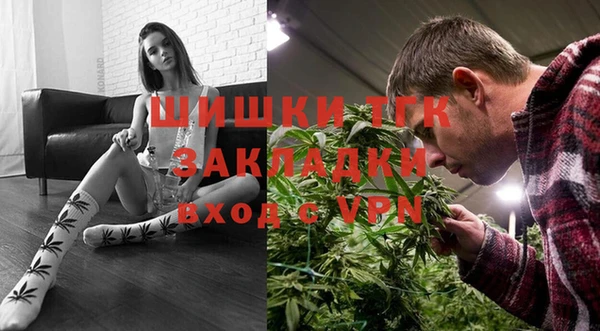 хмурый Осинники