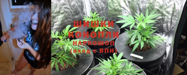 молекула духа Баксан