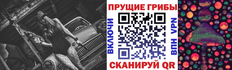 Псилоцибиновые грибы мицелий  Курчалой 